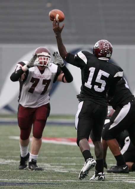 而今年的半 而今年的半