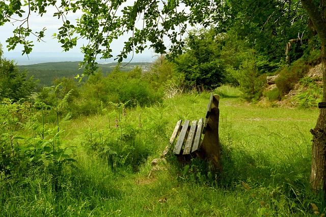 例如腳弓高 例如腳弓高