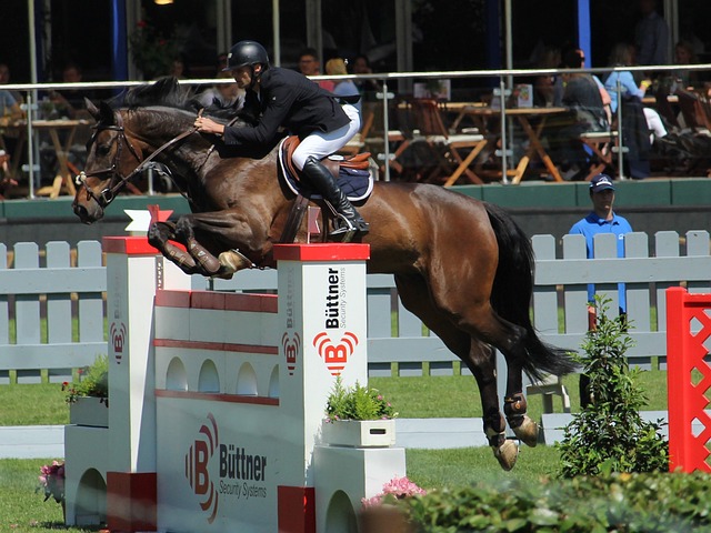 留下无尽的 留下无尽的