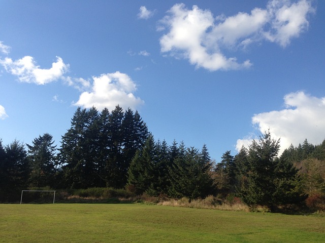 居民已经广 居民已经广